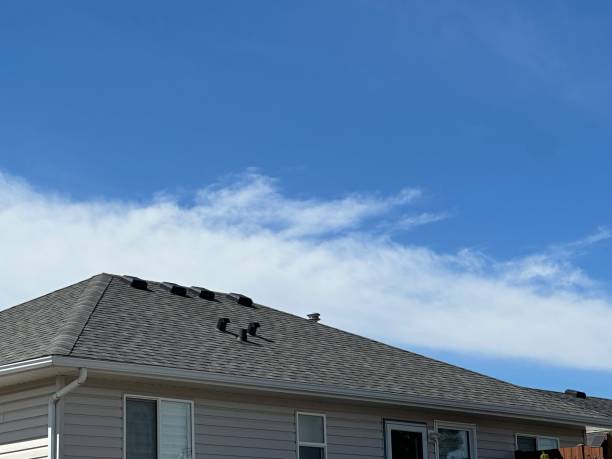 Fast & Reliable Emergency Roof Repairs in Bernie, MO